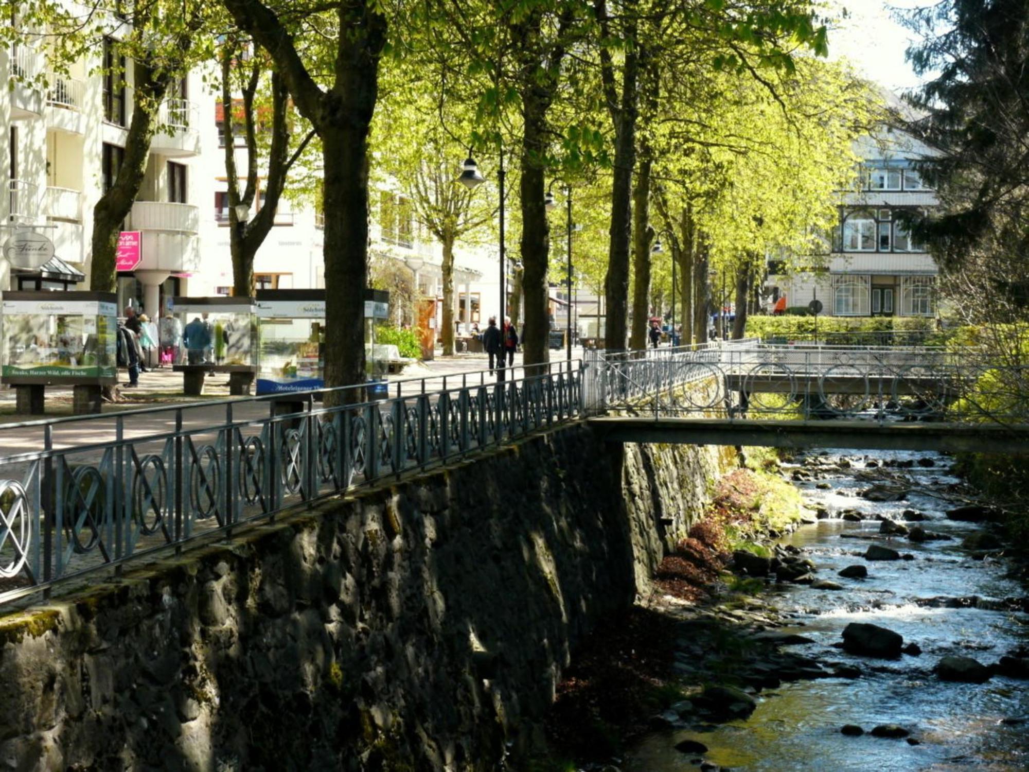 Henning * Bad Harzburg